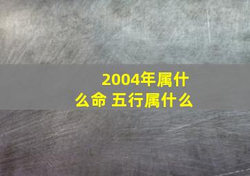 2004年属什么命 五行属什么